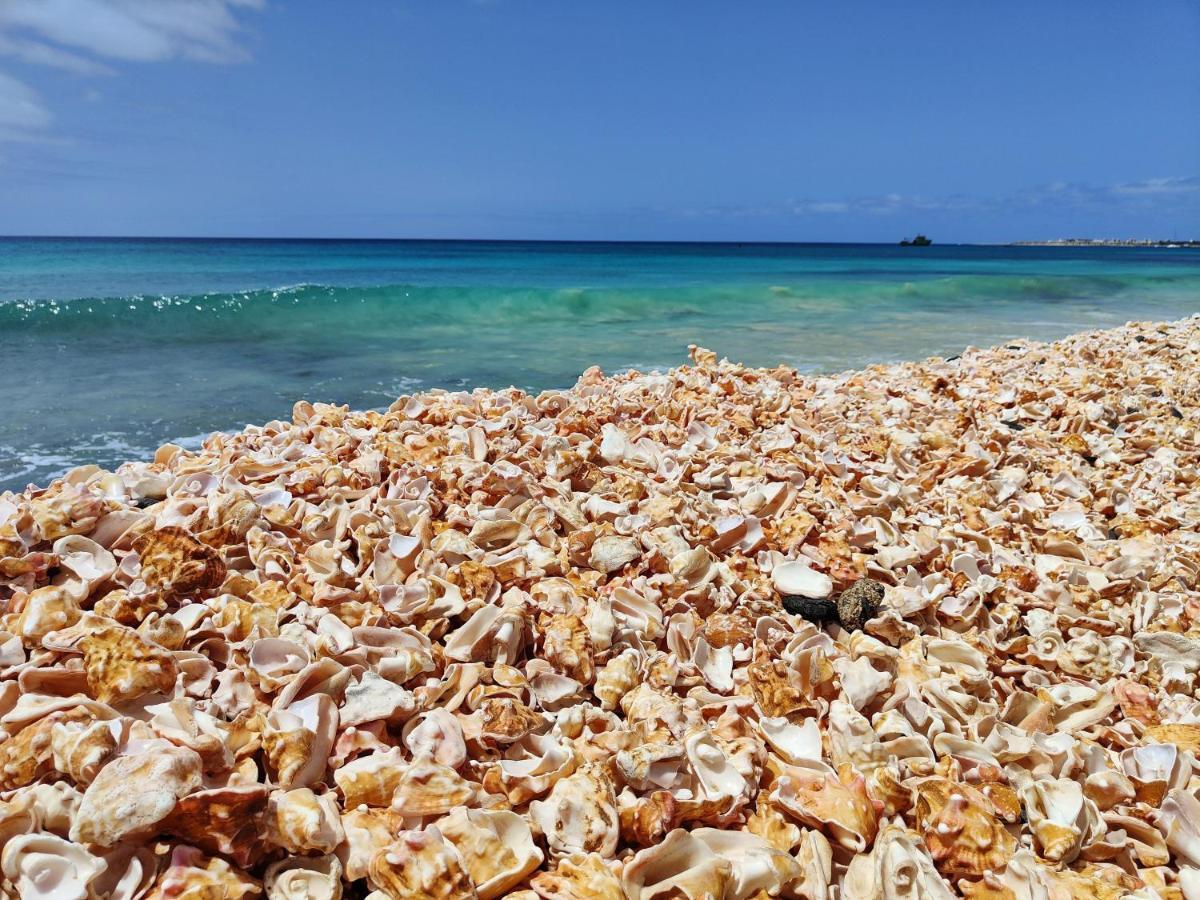 شقة Albis Harena - Ibiscus Attico Ocean View سانتا ماريا المظهر الخارجي الصورة